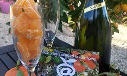 gajos naranja